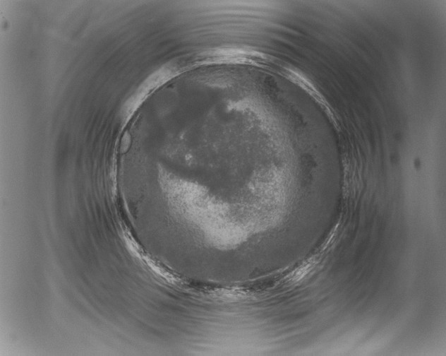 X0000054370994200508011216