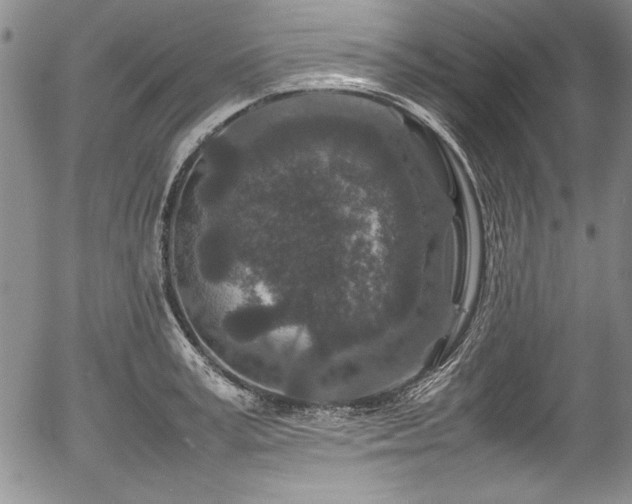 X0000054370995200508011216