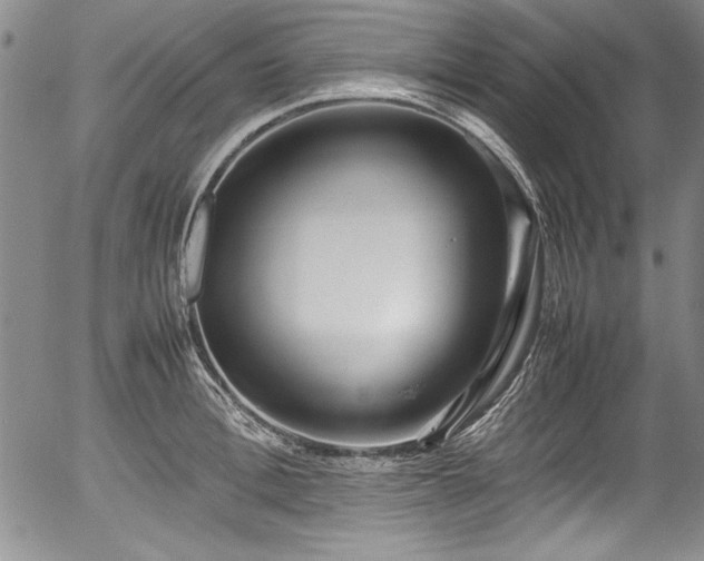 X0000054370996200508011216