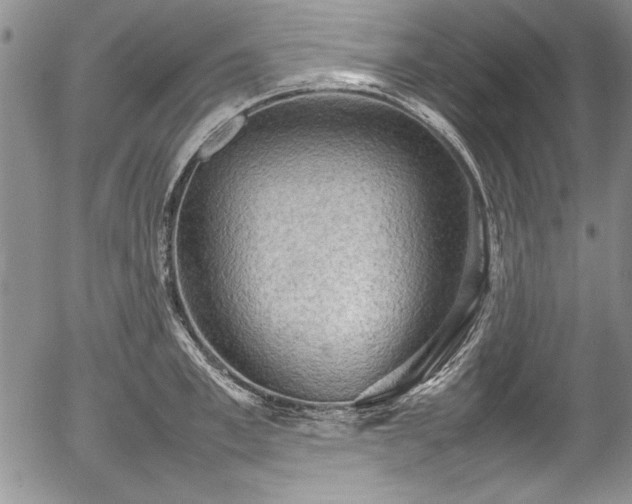 X0000054370997200508011216