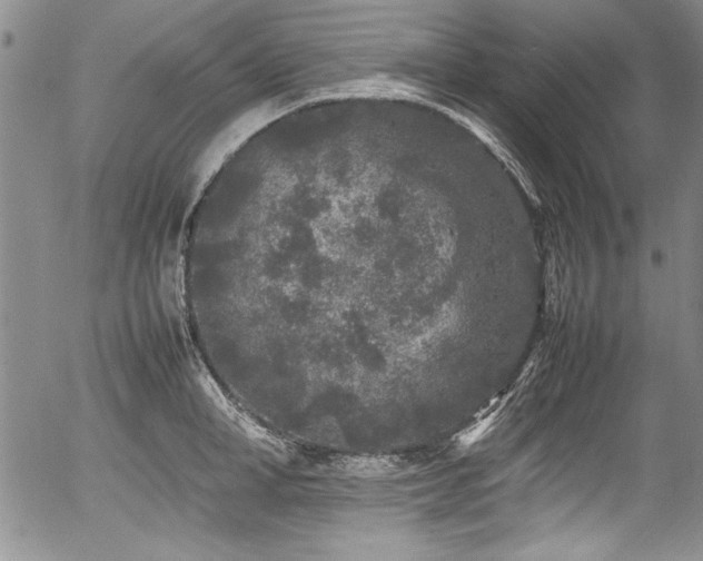 X0000054370998200508011216