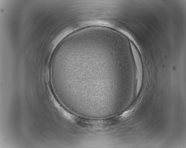 X0000054370999200508011216