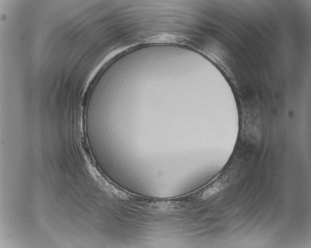 X0000054371000200508011216