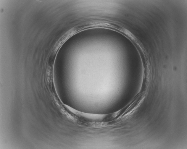 X0000054371001200508011215