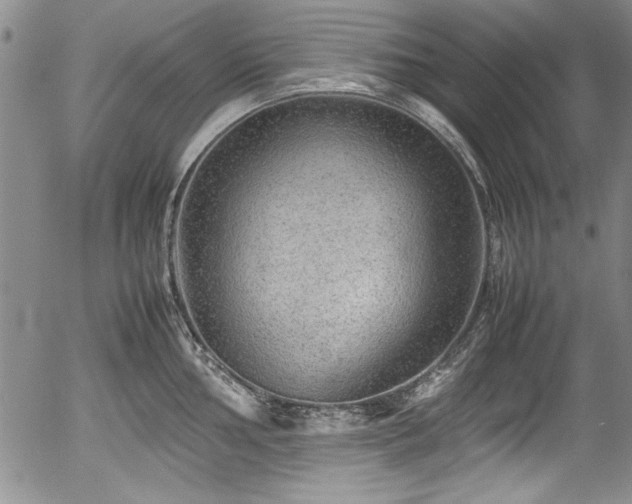 X0000054371002200508011215