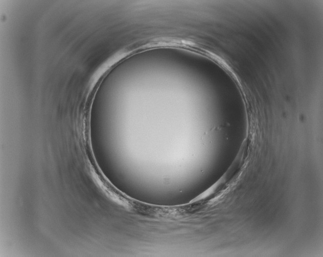 X0000054371003200508011215