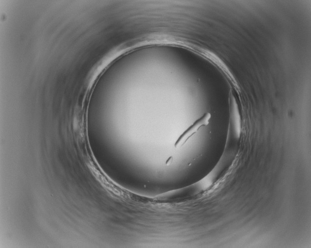 X0000054371004200508011215