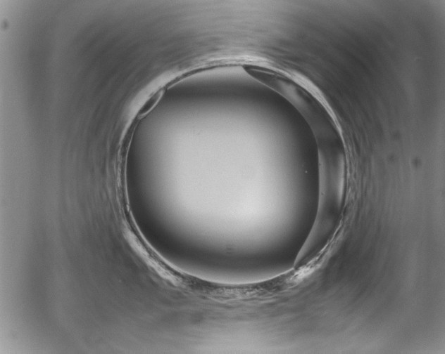 X0000054371005200508011215