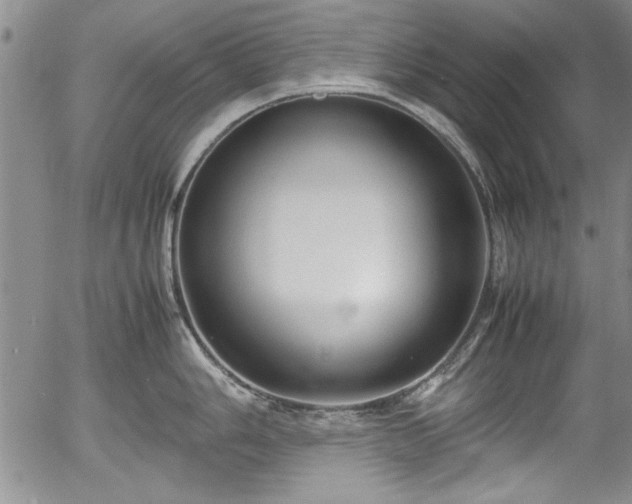 X0000054371006200508011215