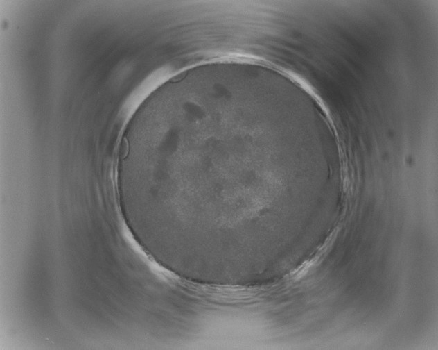 X0000054371007200508011215