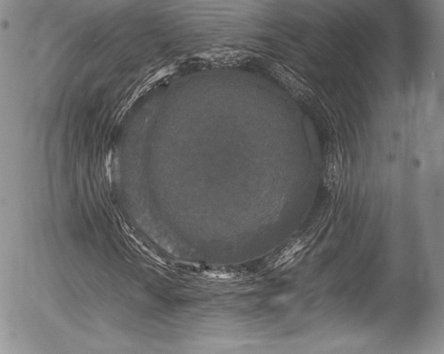 X0000054371010200508011214