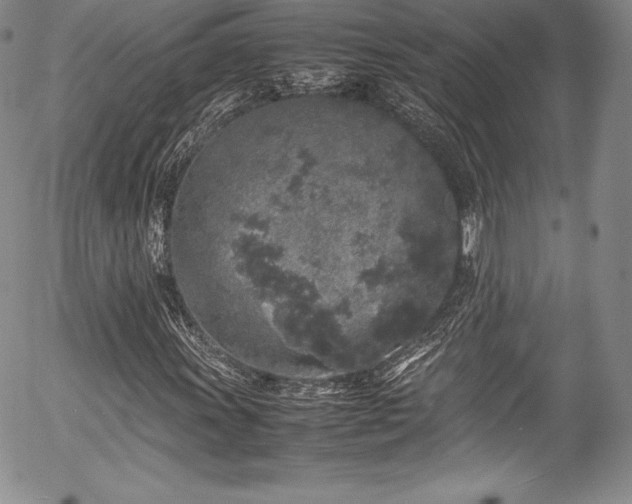 X0000054371011200508011215