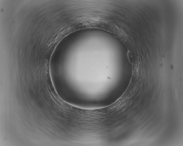 X0000054371012200508011215