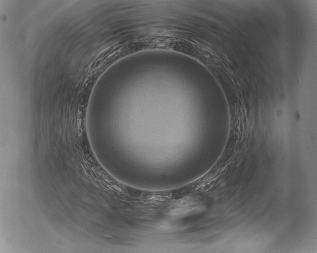 X0000054371013200508011215