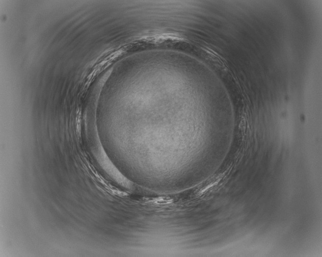 X0000054371014200508011215