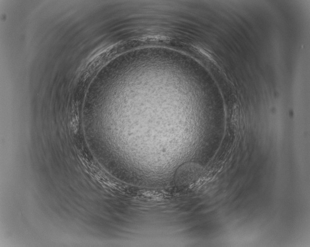 X0000054371015200508011215