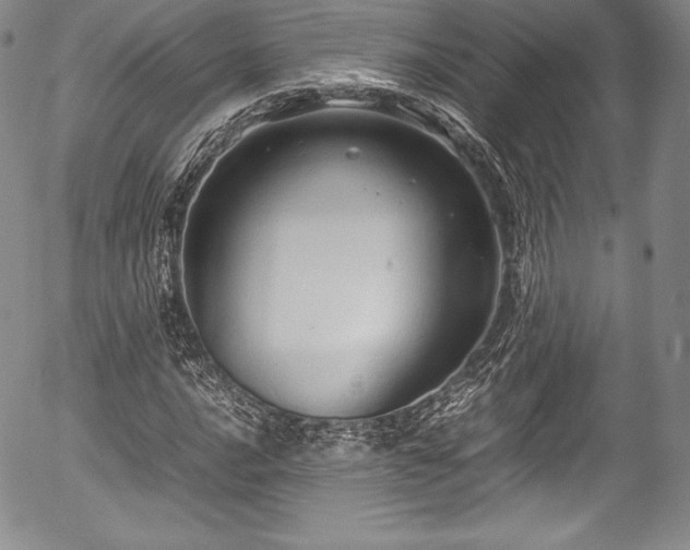 X0000054371016200508011215