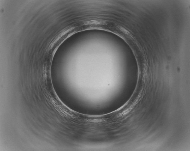 X0000054371017200508011215