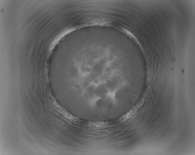 X0000054371019200508011215