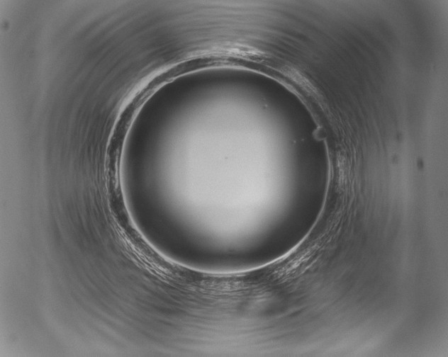 X0000054371020200508011215