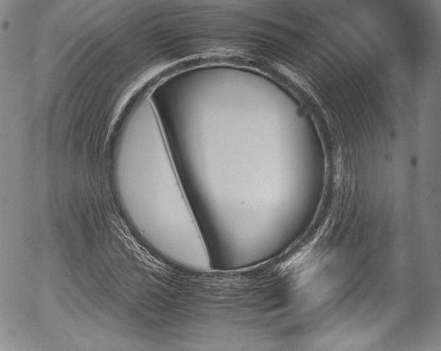 X0000054371021200508011215