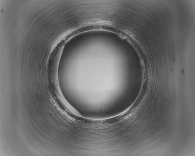 X0000054371022200508011215