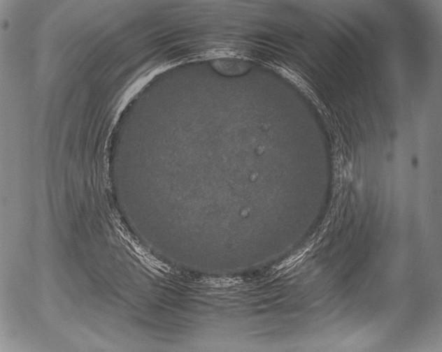 X0000054371023200508011215