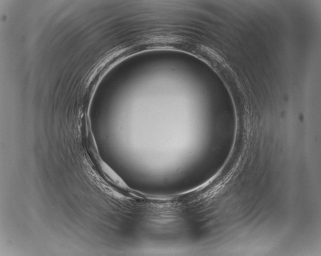 X0000054371025200508011215