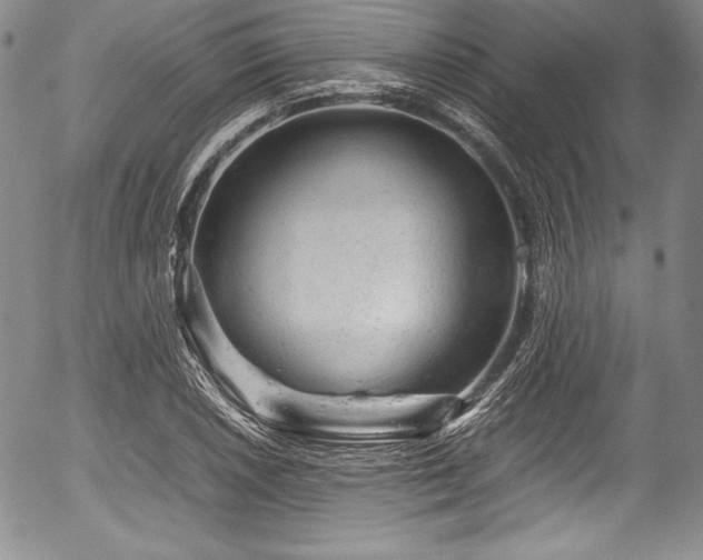 X0000054371026200508011215