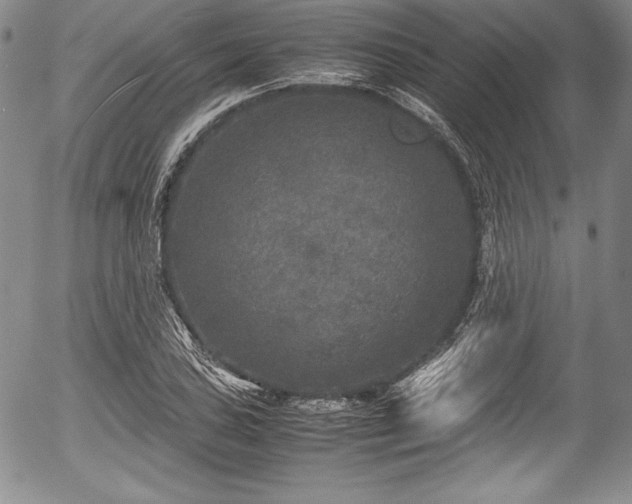 X0000054371027200508011215