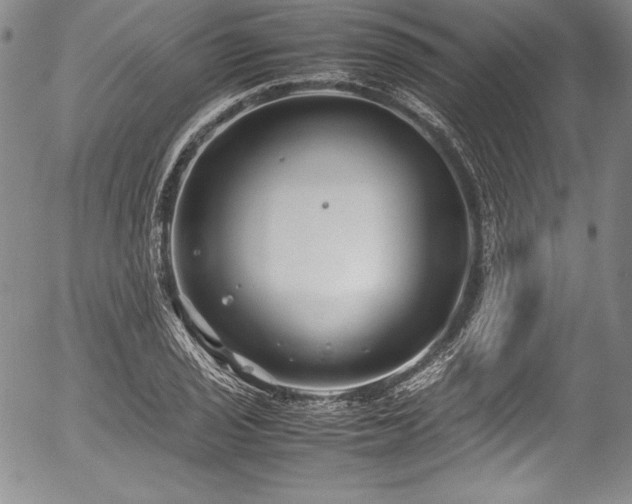 X0000054371029200508011215