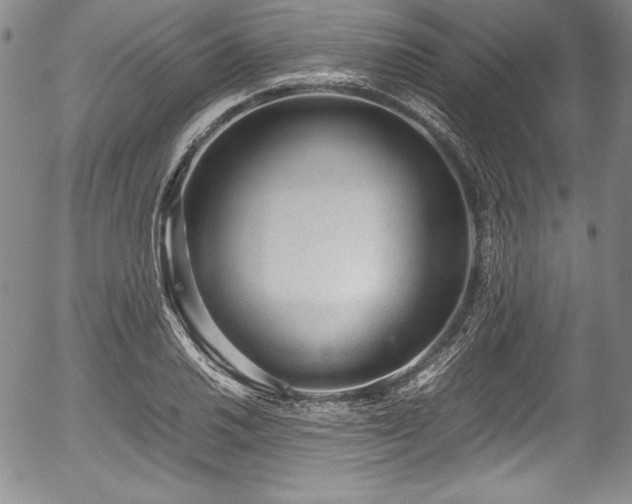 X0000054371030200508011215