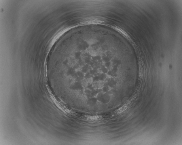 X0000054371031200508011215