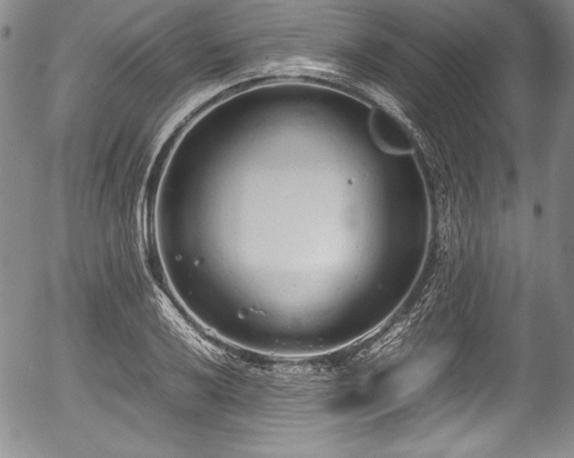 X0000054371032200508011215