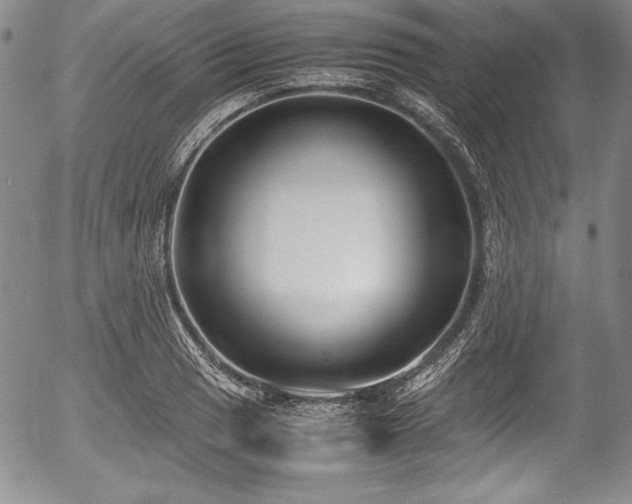 X0000054371033200508011215