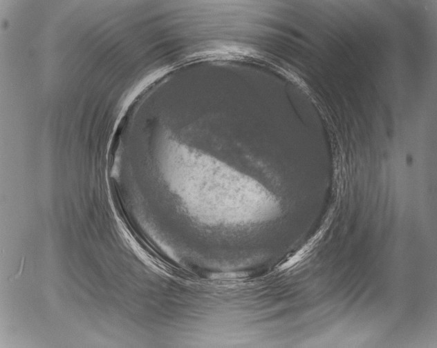 X0000054371034200508011215