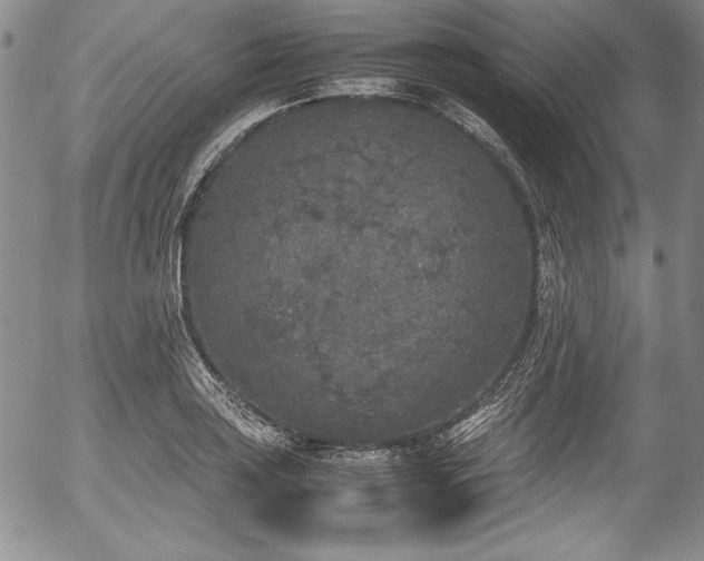 X0000054371035200508011215