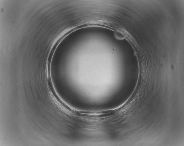 X0000054371036200508011215