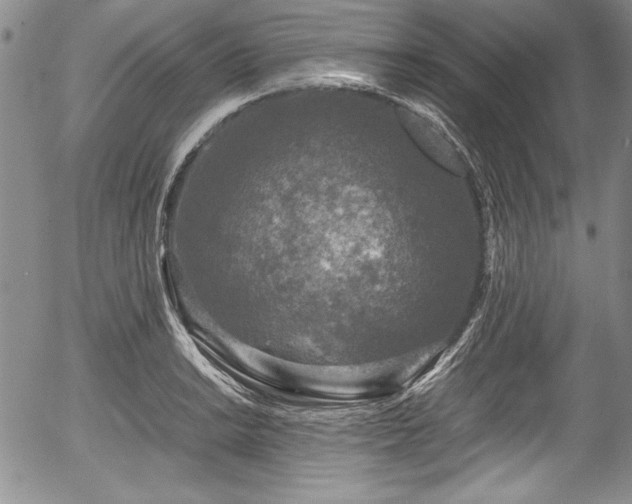 X0000054371038200508011215