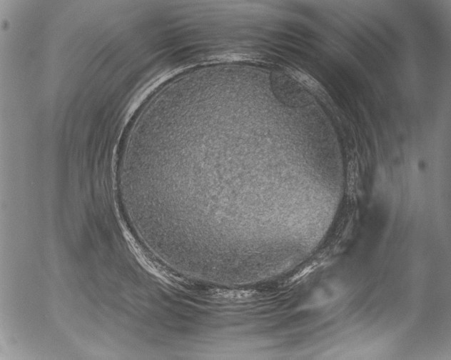 X0000054371039200508011215