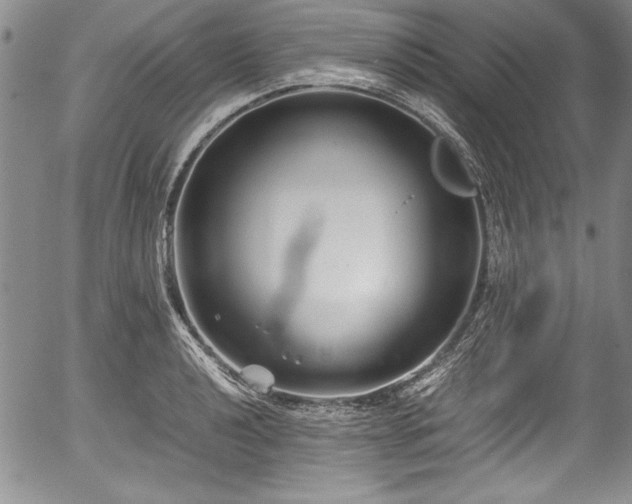 X0000054371040200508011215