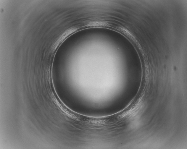 X0000054371041200508011215