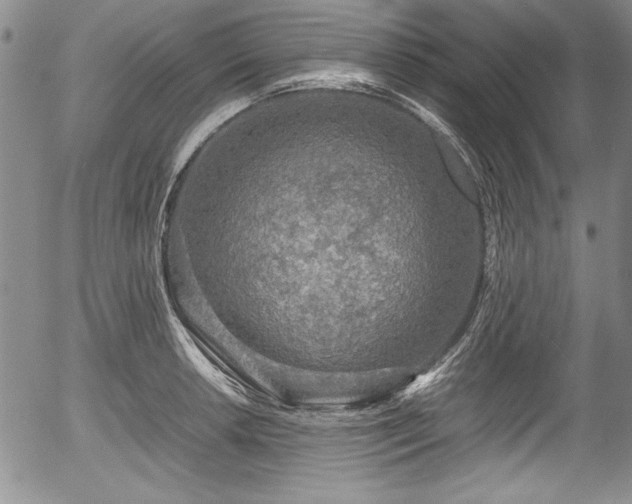 X0000054371042200508011215