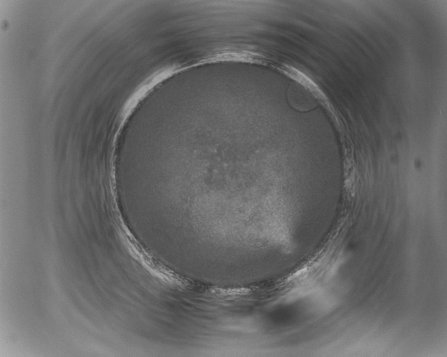 X0000054371043200508011215