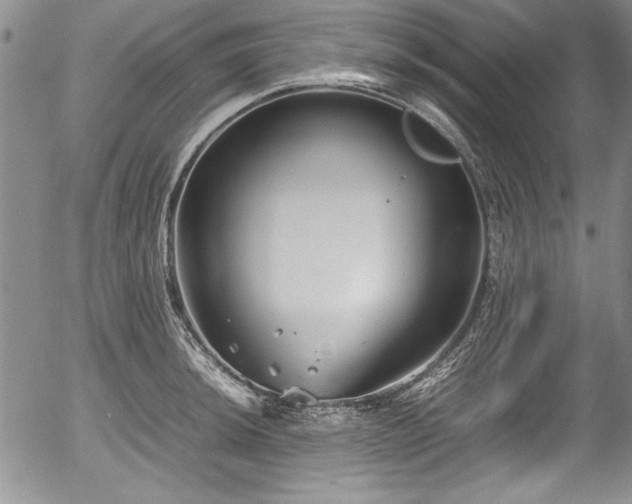 X0000054371044200508011215