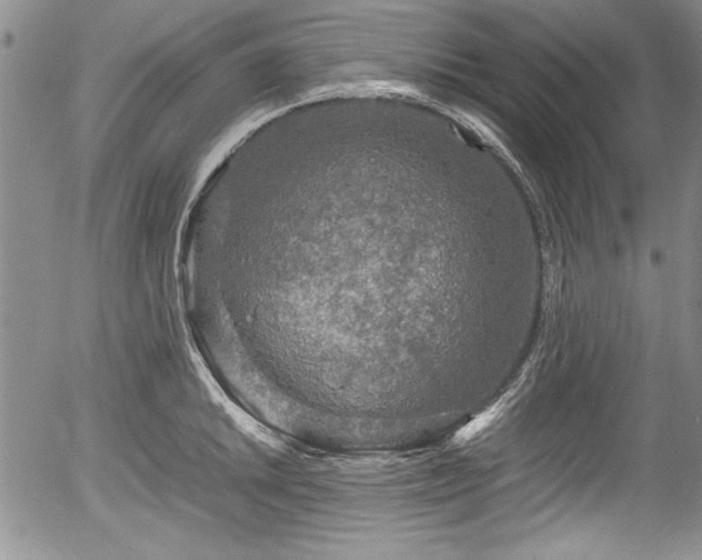 X0000054371046200508011215