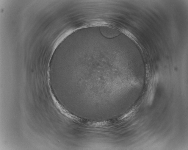 X0000054371047200508011215