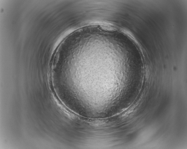 X0000054371048200508011215