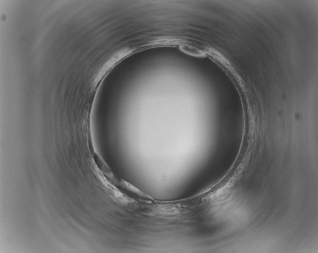 X0000054371049200508011215