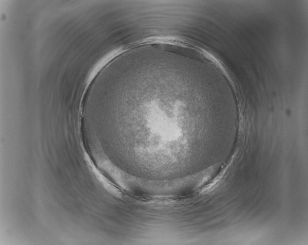 X0000054371050200508011215